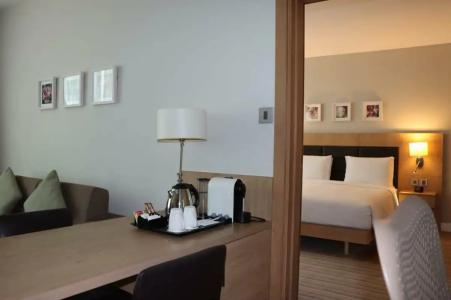 Hilton Garden Inn Dubai Mall Of The Emirates - 44