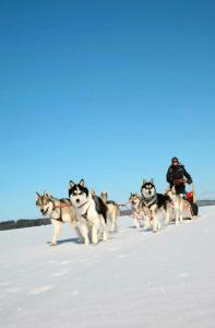 Break Sokos Vuokatti - 16