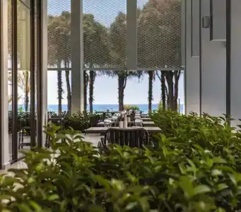 Paloma Finesse Side - 62