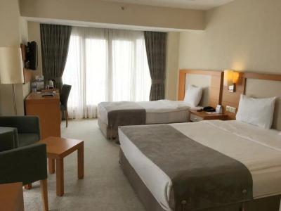 Mercias & Resorts - 62