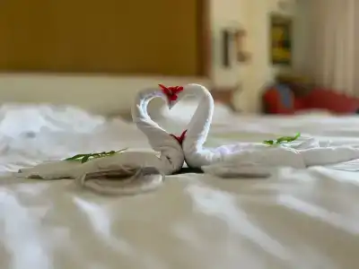 Alva Donna Beach Resort Comfort - 17