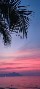 Sea Sand Sun Resort and Villas - SHA Plus - 14