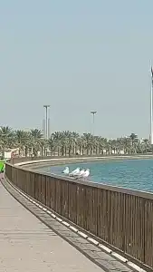 Copthorne Sharjah - 82