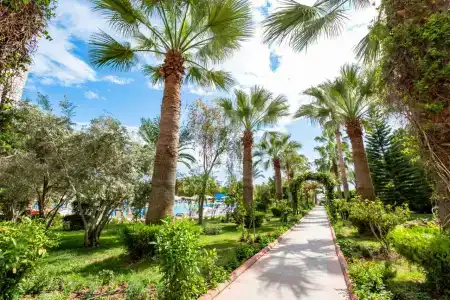 Stella Beach All Inclusive - 6