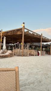 Umm Al Quwain Beach - 71