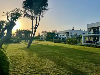 Paloma Finesse Side - 52