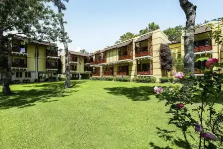 ROBINSON CAMYUVA - Adults only - 53