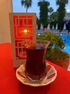 Pashas Princess by Werdes - Adult Only - 39