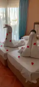 Ivy Cyrene Sharm Resort Adults Friendly Plus 13 - 17