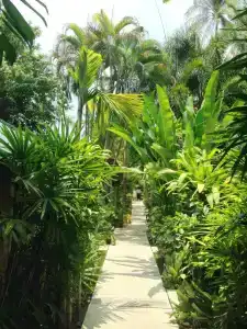 Evergreen Resort - 26