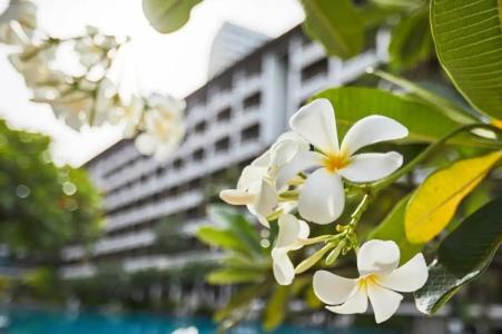 Welcome World Beach Resort & Spa - 7