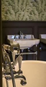 Bayard Bellecour - 45