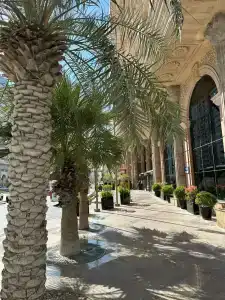  Royal Rose Abu Dhabi - 14