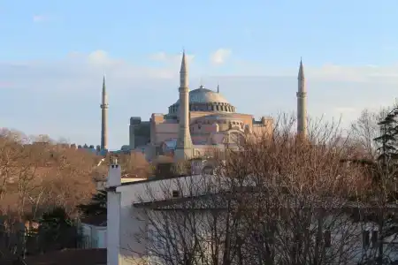 Golden Horn - 48