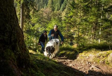 Holiday Inn - Villingen - Schwenningen, an IHG - 38