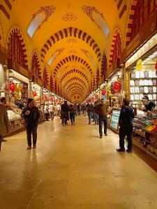 Manesol Old City Bosphorus - 6