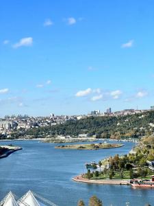 Clarion Golden Horn - 89