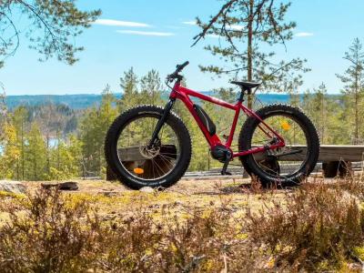 & Spa Resort Järvisydän - 54