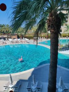 Kirman Leodikya Resort - 55