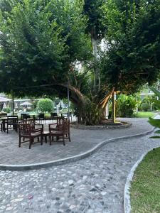 Sunshine Garden Resort - SHA Extra Plus - 97