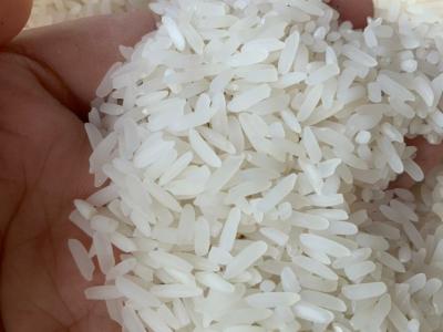 Sukhothai Garden - 59