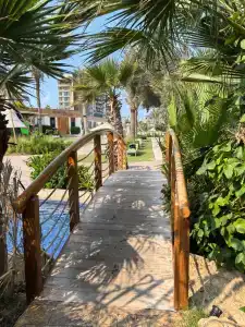 Dubai Marine Beach Resort & Spa - 50