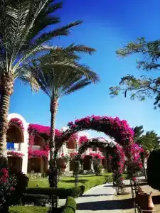 TUI MAGIC LIFE Kalawy - 16