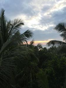 Sun Moon Star Resort Koh Phangan - 3