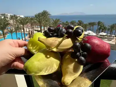 Grand Rotana Resort & Spa - 45