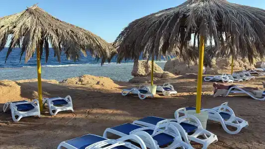 Labranda Sharm Club - 8