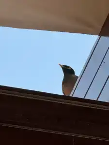 Shangri la Qaryat Al Beri Abu Dhabi - 49