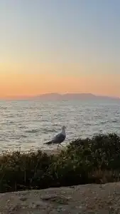 Le Bleu & Resort Kusadasi - 35