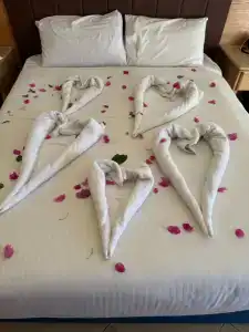 Rehana Sharm Resort - Aquapark & Spa - Couples and Family Only - 30