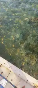 Pharaoh Azur Resort - 29