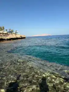 Grand Oasis Resort - 13