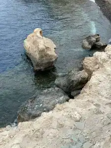 The Grand Sharm El Sheikh - 52