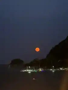 Marti La Perla - Adult Only+16 - 69