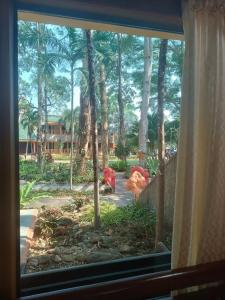 Coconut Beach Resort, Koh Chang - 87