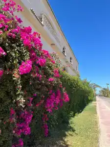 Blend Club Aqua Resort - 7