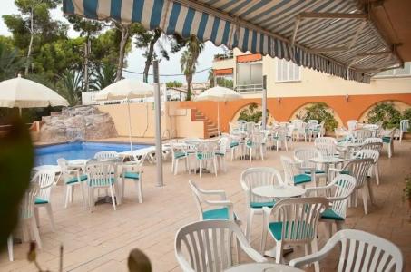 Vibra Palma Cactus - 48