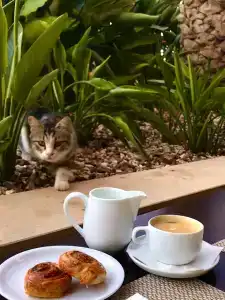 St Raphael Resort - 75