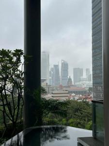 PARKROYAL COLLECTION Pickering, Singapore - 50