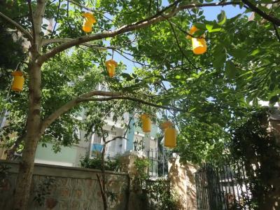 Ada Palas Buyukada - 13