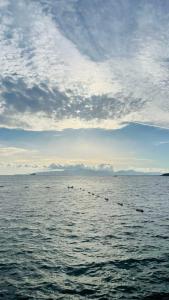 Azure By Yelken - 55