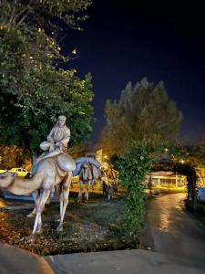 Crystal De Luxe Resort & Spa - All Inclusive - 26