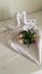 Caribbean World Resort Soma Bay - 51