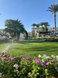 ZYA Regina Resort and Aqua Park Hurghada - 90