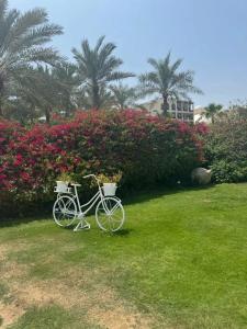 Hilton Ras Al Khaimah Beach Resort - 9