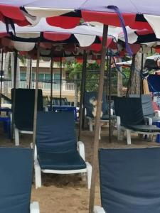 Avalon Beach Resort - 56