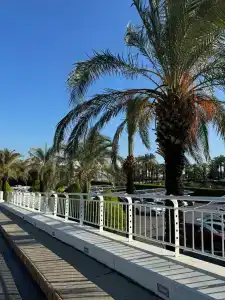 Miracle Resort - All Inclusive - 66